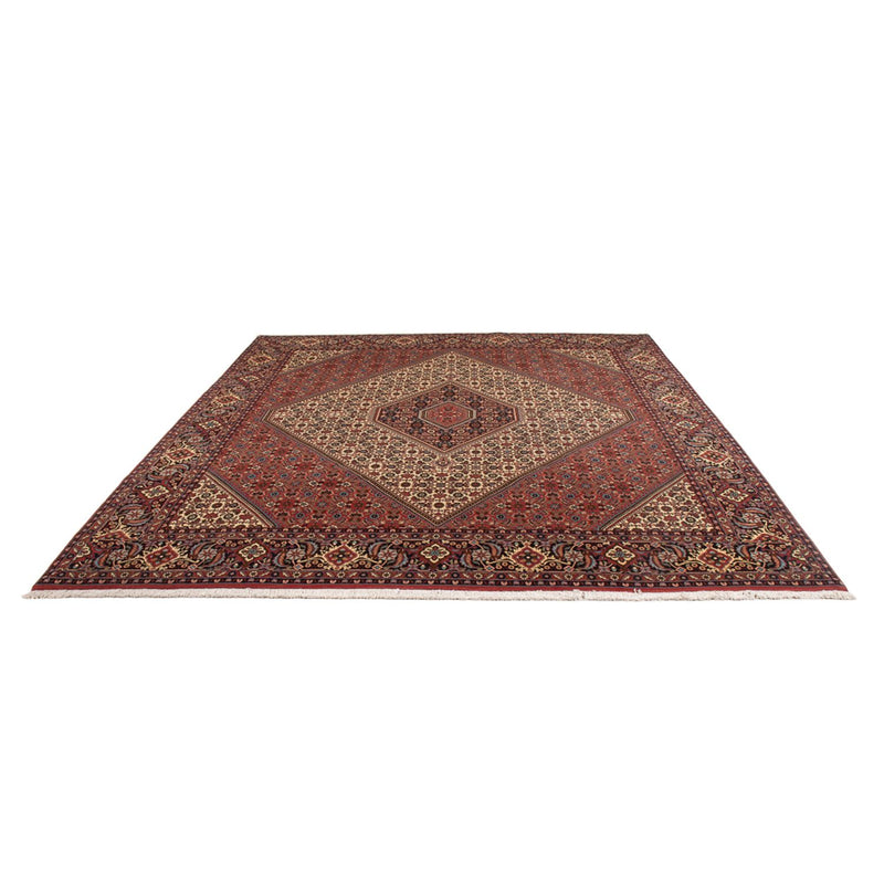 Bidjar - Bukan Teppich 252x296cm - Perserteppich - creme
