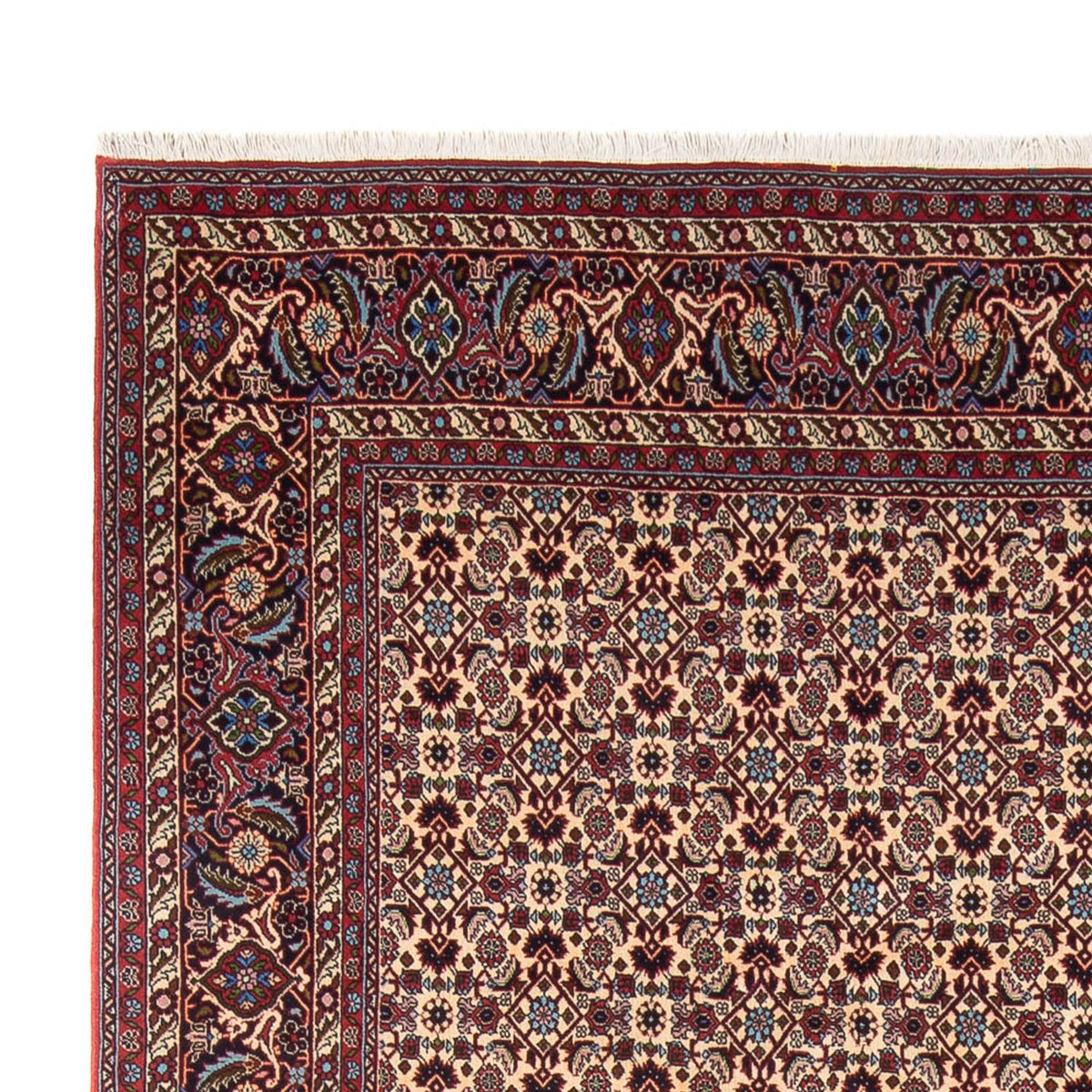 Bidjar - Bukan Teppich 245x344cm - Perserteppich - creme