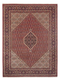 Bidjar - Bukan Teppich 246x341cm - Perserteppich - dunkelrot – product image