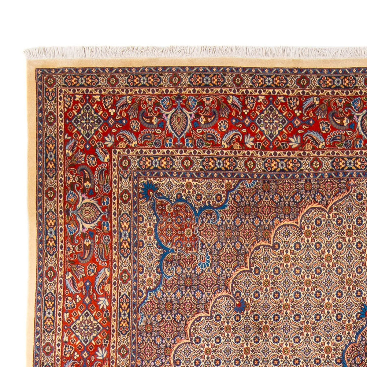 Moud Teppich 252x360cm - Perserteppich - terrakotta