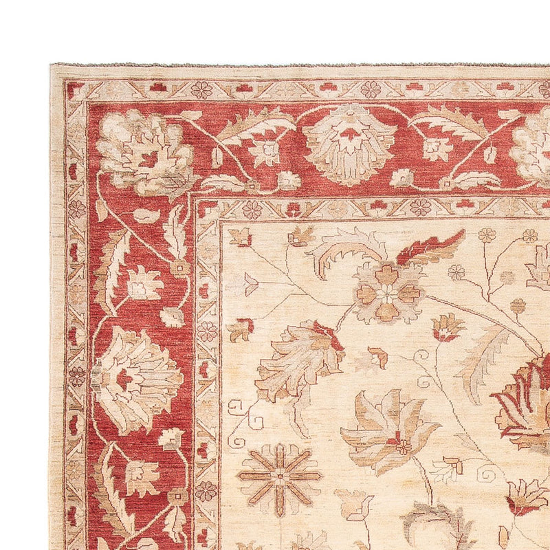 Ziegler Teppich 308x455cm - Orientteppich - creme