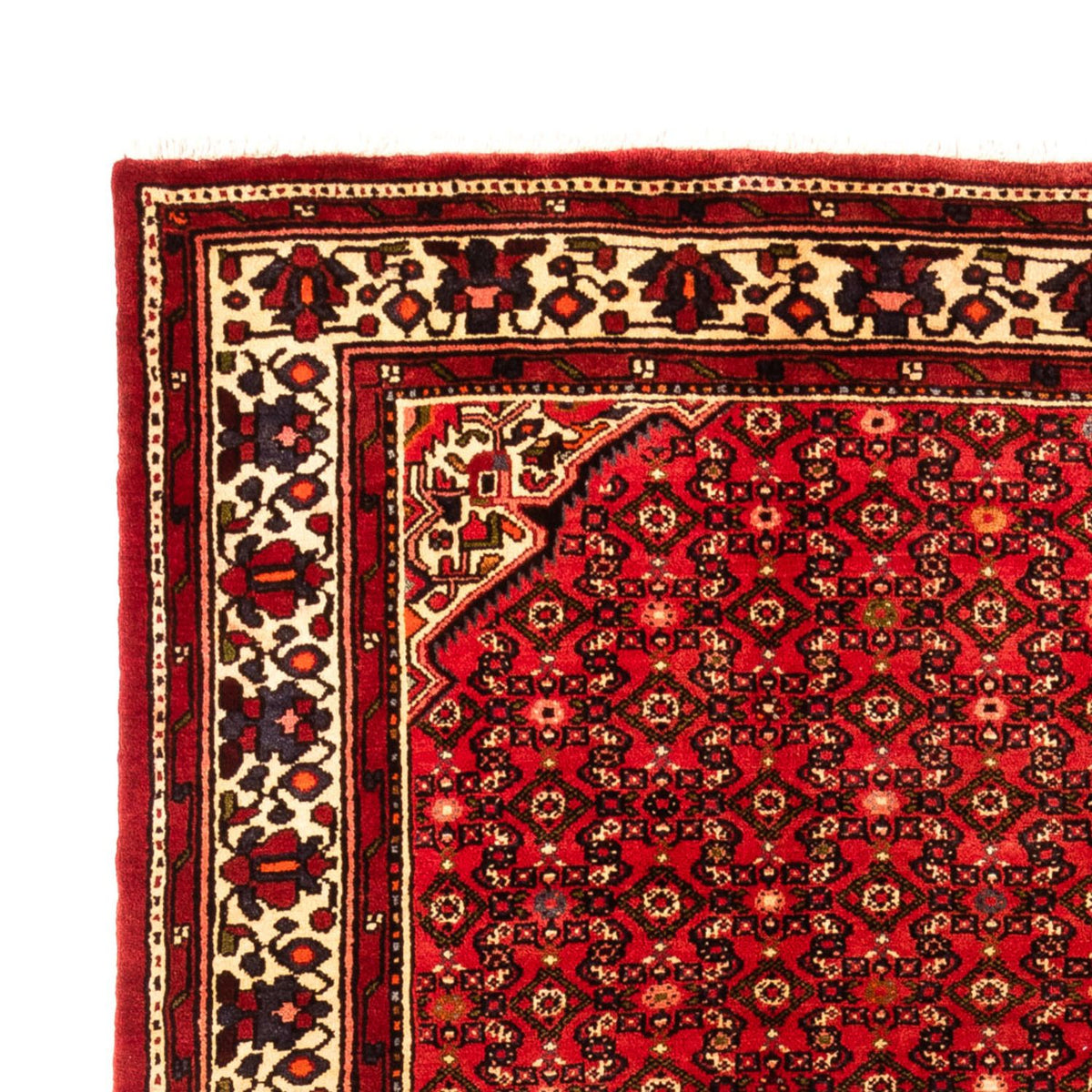 Perserteppich - Nomadic - 210 x 307 cm - rot