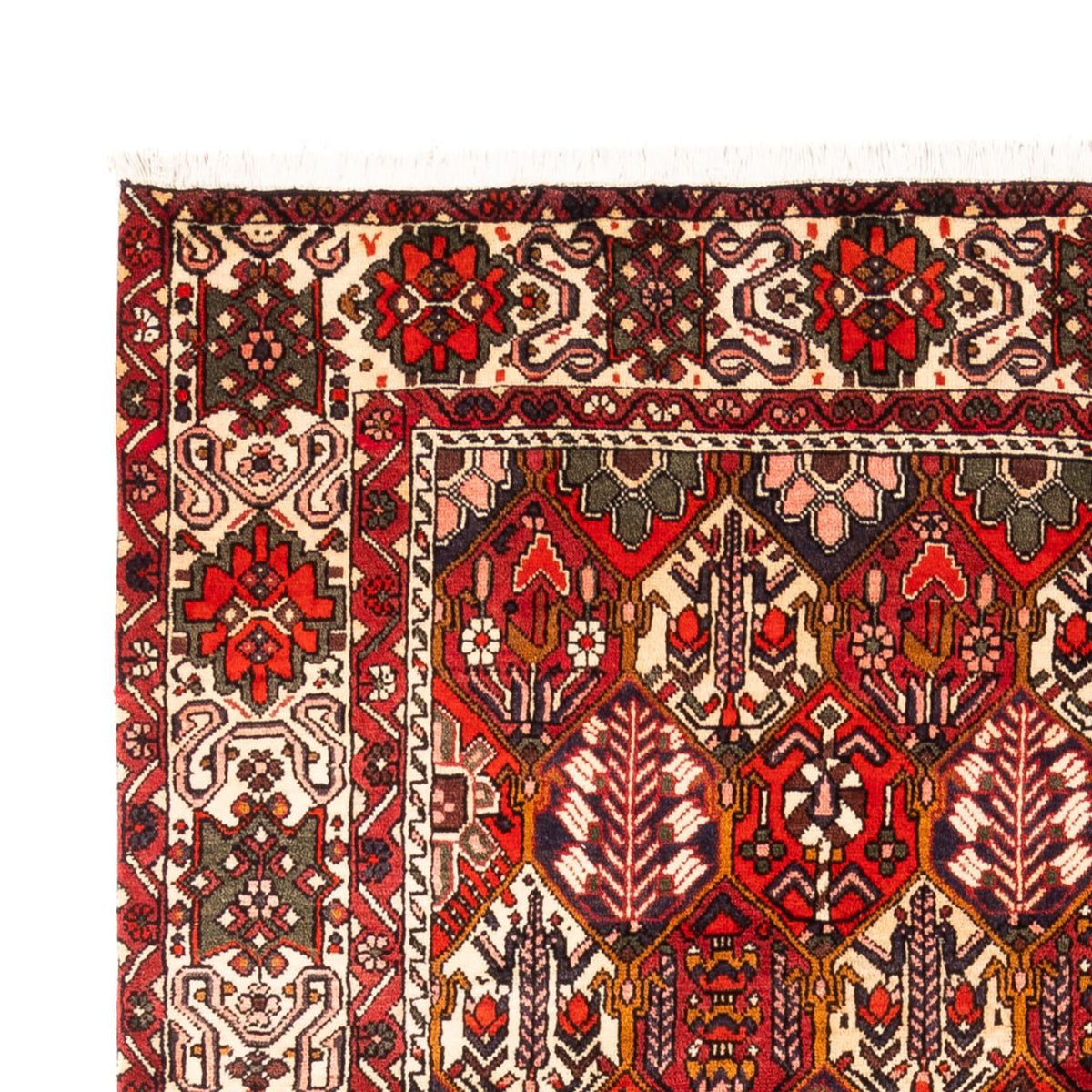 Bachtiar Teppich 210x310cm - Perserteppich