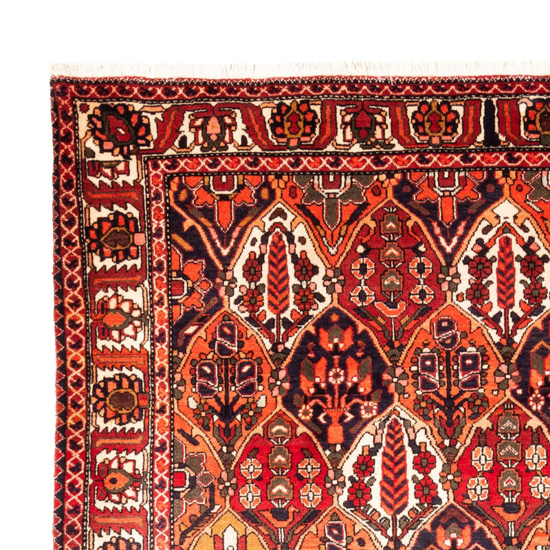 Perserteppich - Nomadic - 220 x 300 cm - mehrfarbig