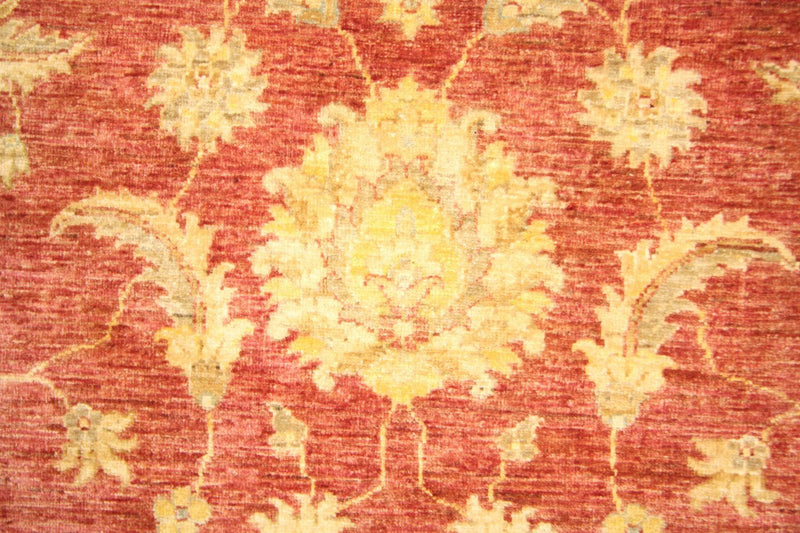 Ziegler Teppich 164 x 239 cm - gold