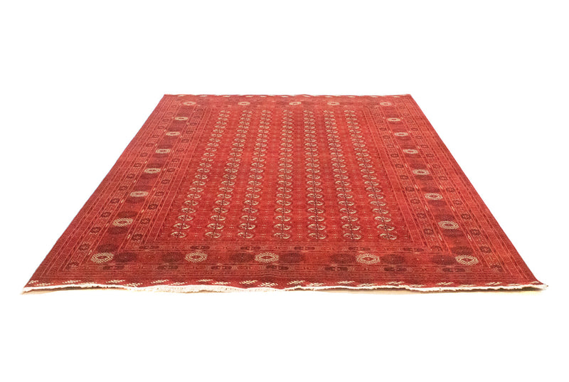 Afghan Teppich - Buchara 203 x 293 cm - rot