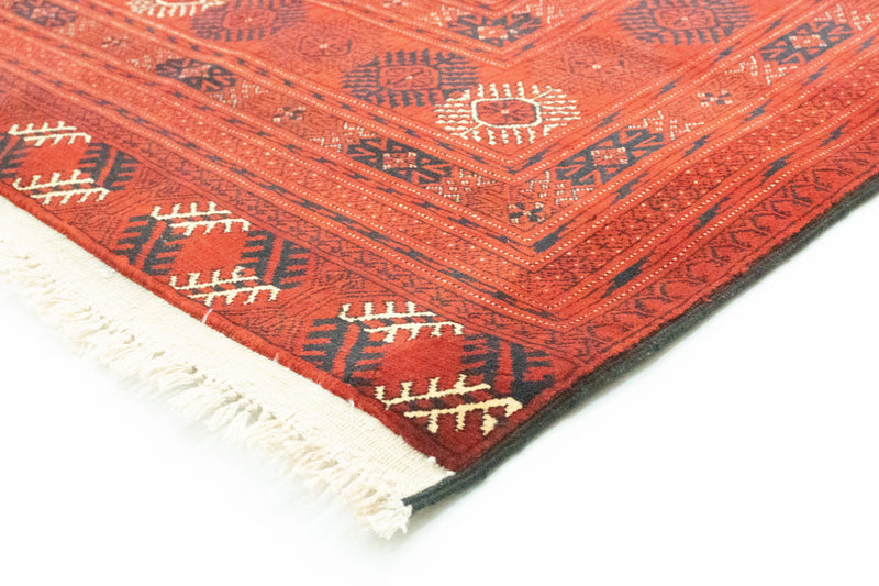 Afghan Teppich - Buchara 192 x 295 cm - dunkelbraun