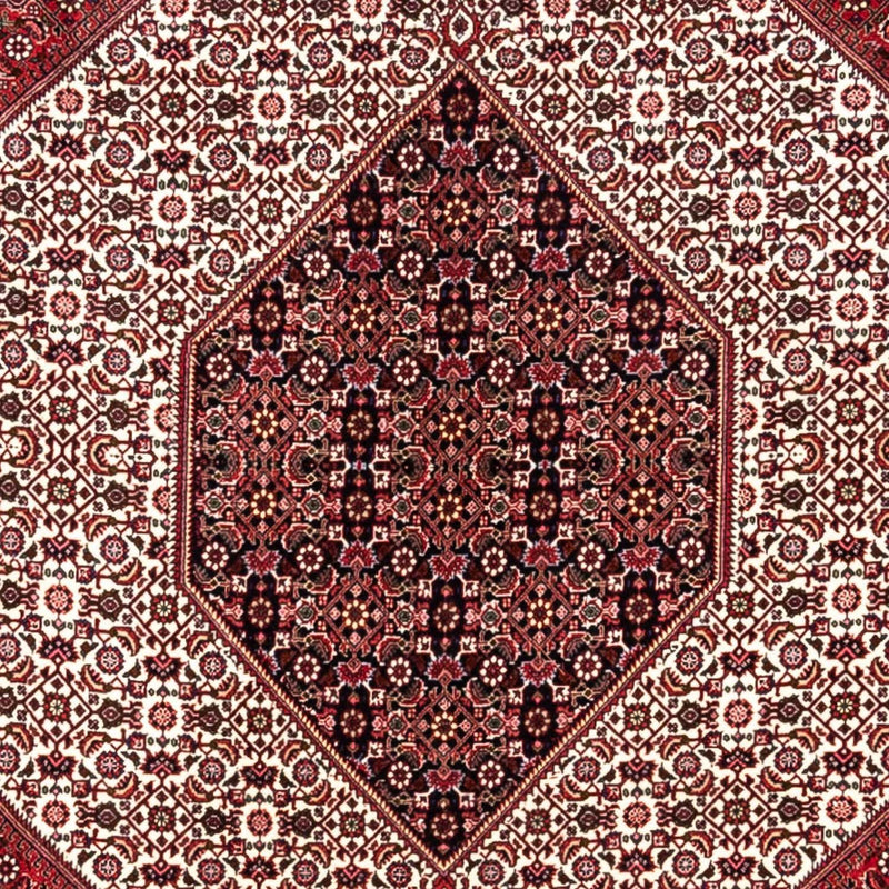 Perserteppich - Bidjar - Royal 253 x 360 cm - rot