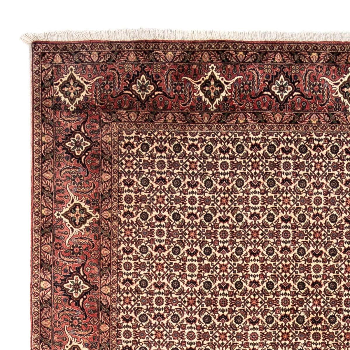 Bidjar - Takab Teppich 208x302cm - Perserteppich - beige