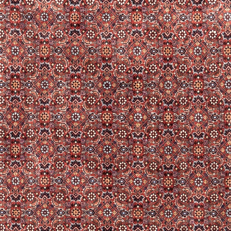 Bidjar - Takab Teppich 204x306cm - Perserteppich - rot