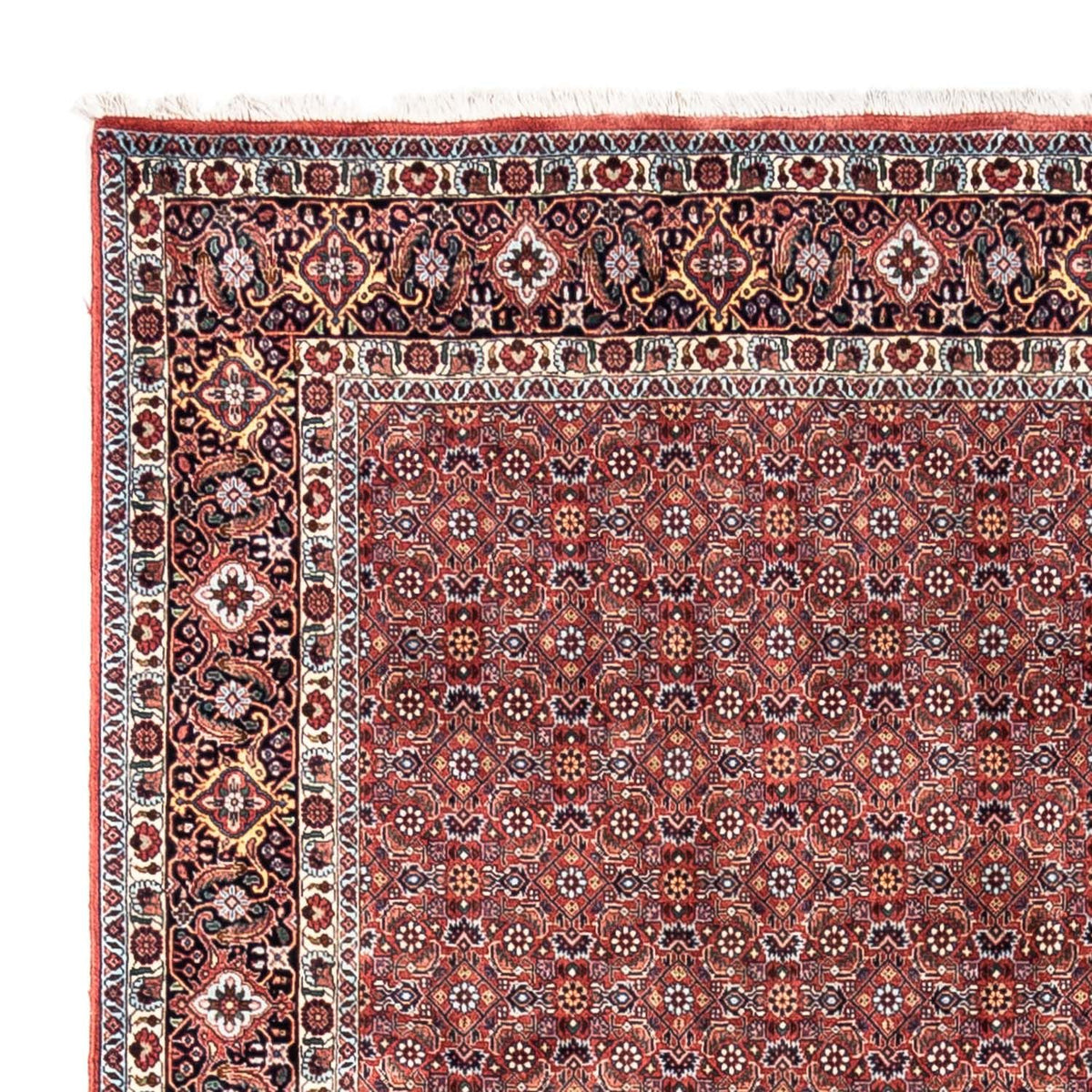 Bidjar - Takab Teppich 204x306cm - Perserteppich - rot