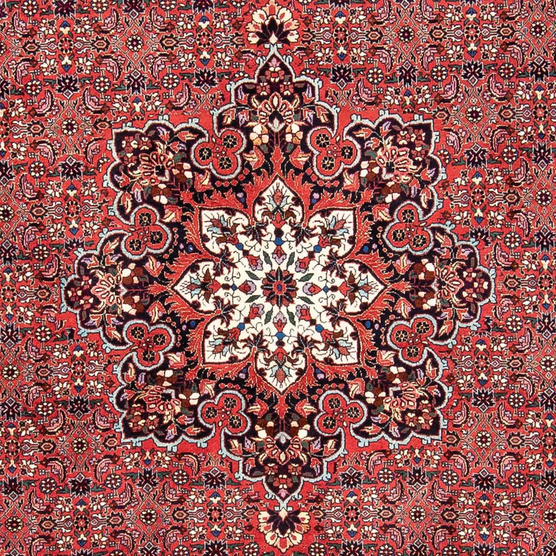 Bidjar Teppich 170x240cm - Perserteppich - rot