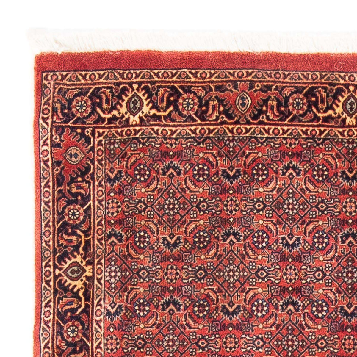 Bidjar Teppich 90x154cm - Perserteppich - rot