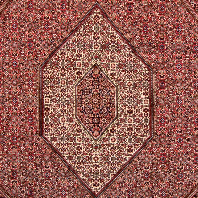 Bidjar Teppich 248x350cm - Perserteppich - hellrot