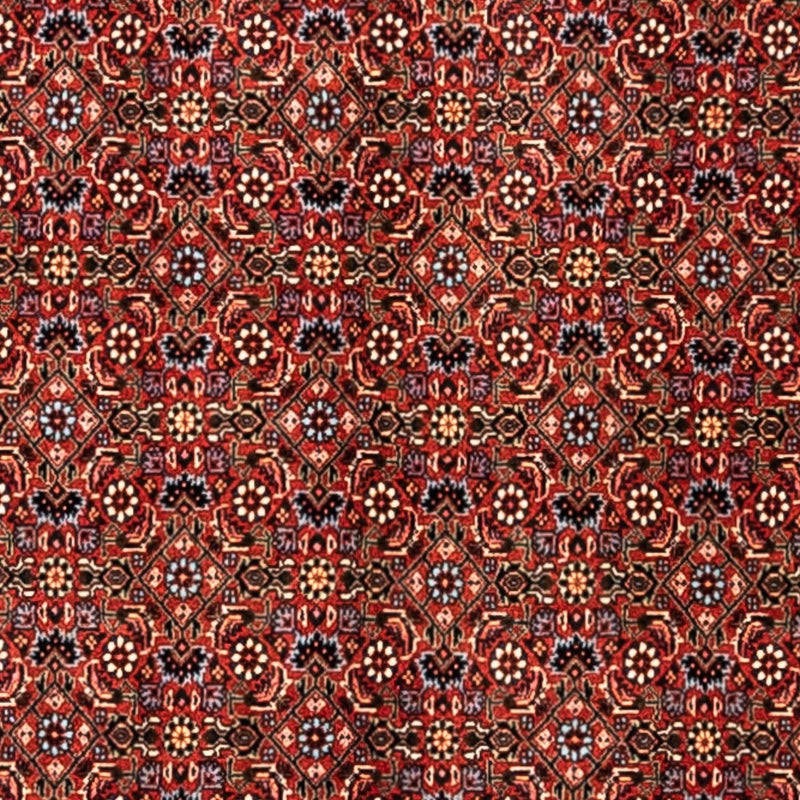 Perserteppich - Bidjar - Royal 248 x 363 cm - rot