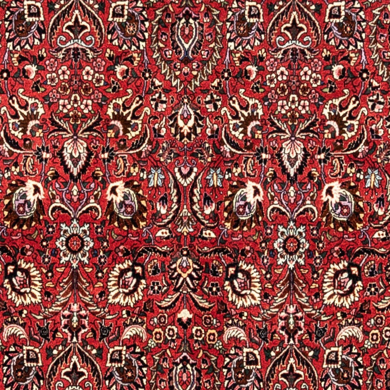 Perserteppich - Bidjar - Royal 252 x 349 cm - rot