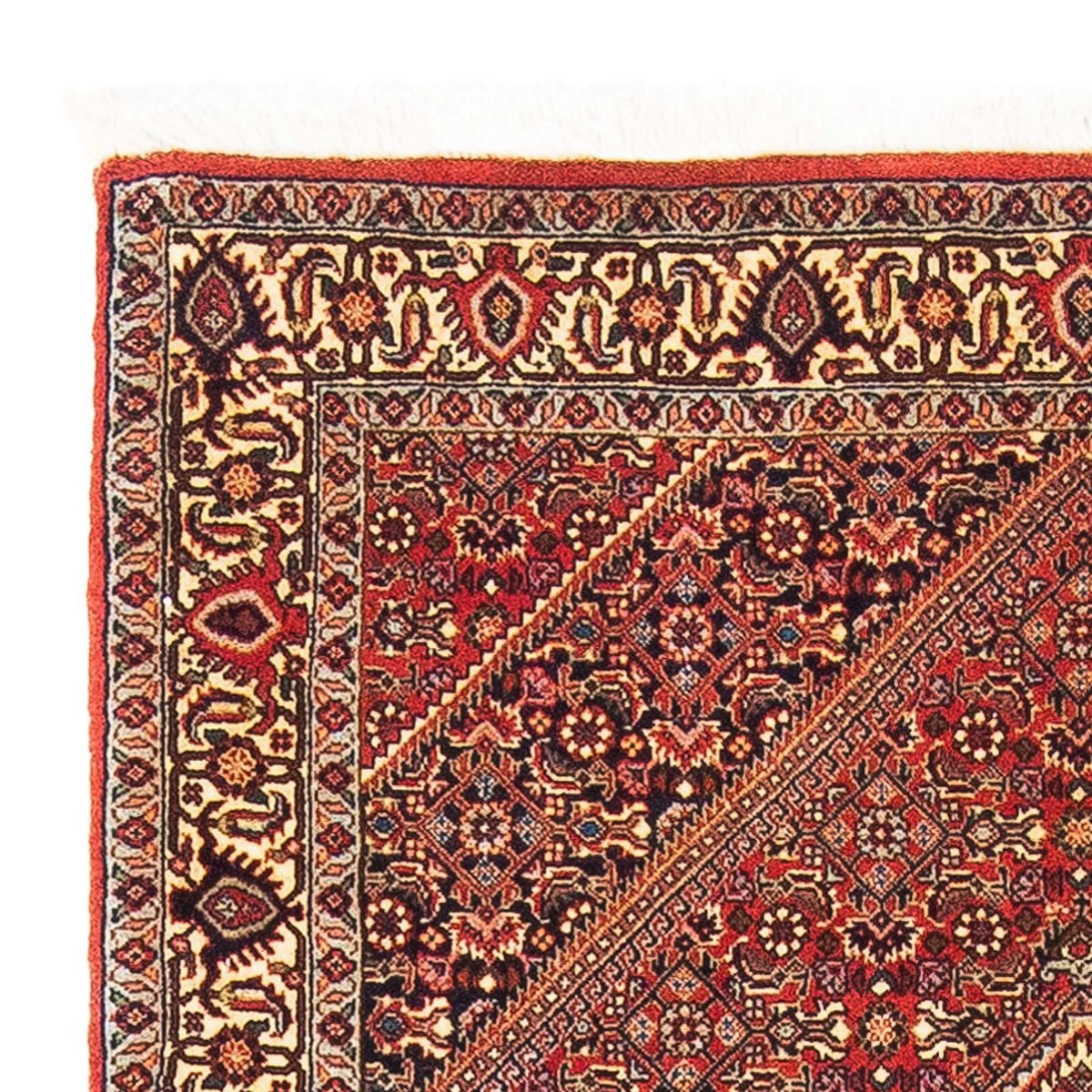 Bidjar Teppich 89x153cm - Perserteppich - rot