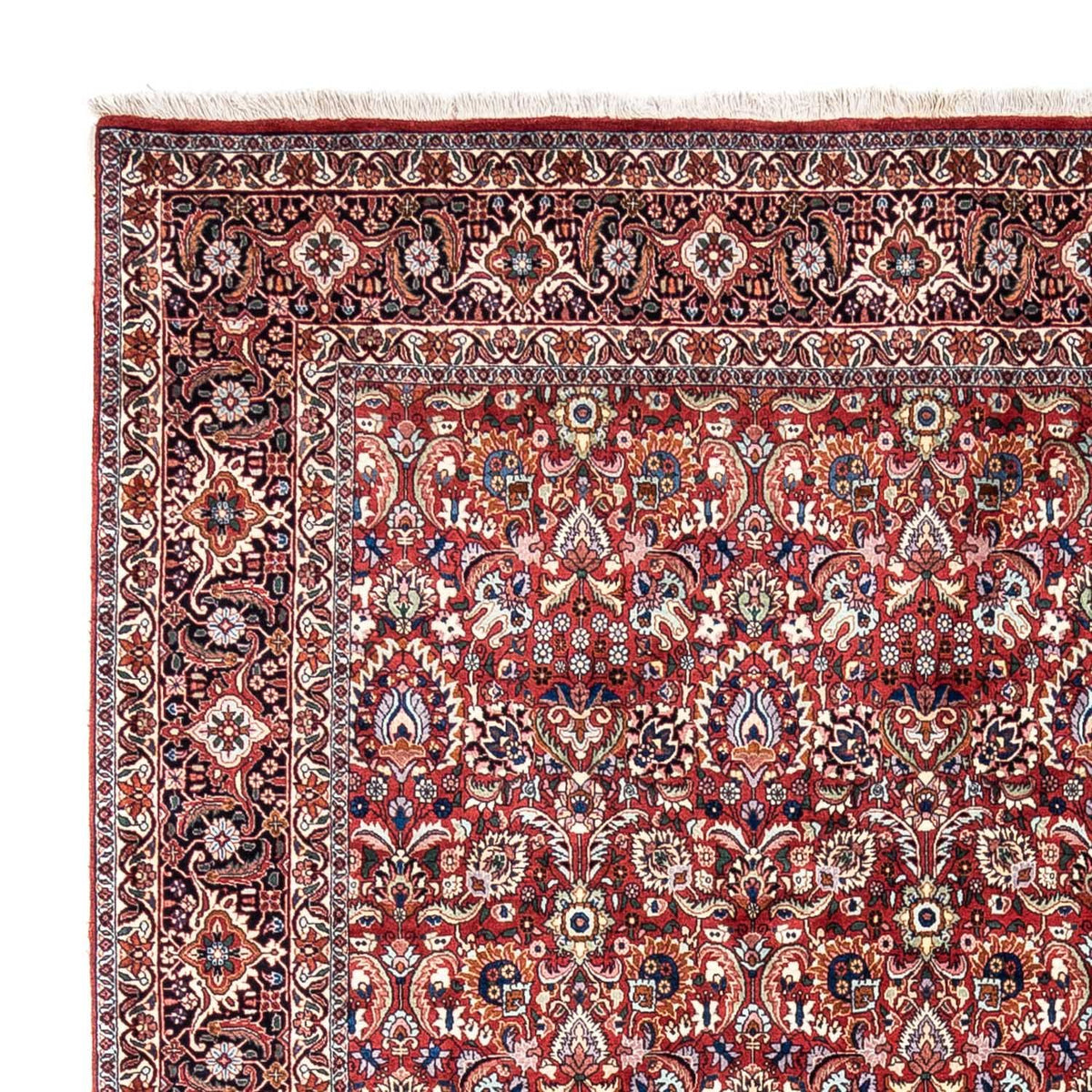 Perserteppich - Bidjar - Royal 255 x 343 cm - rot