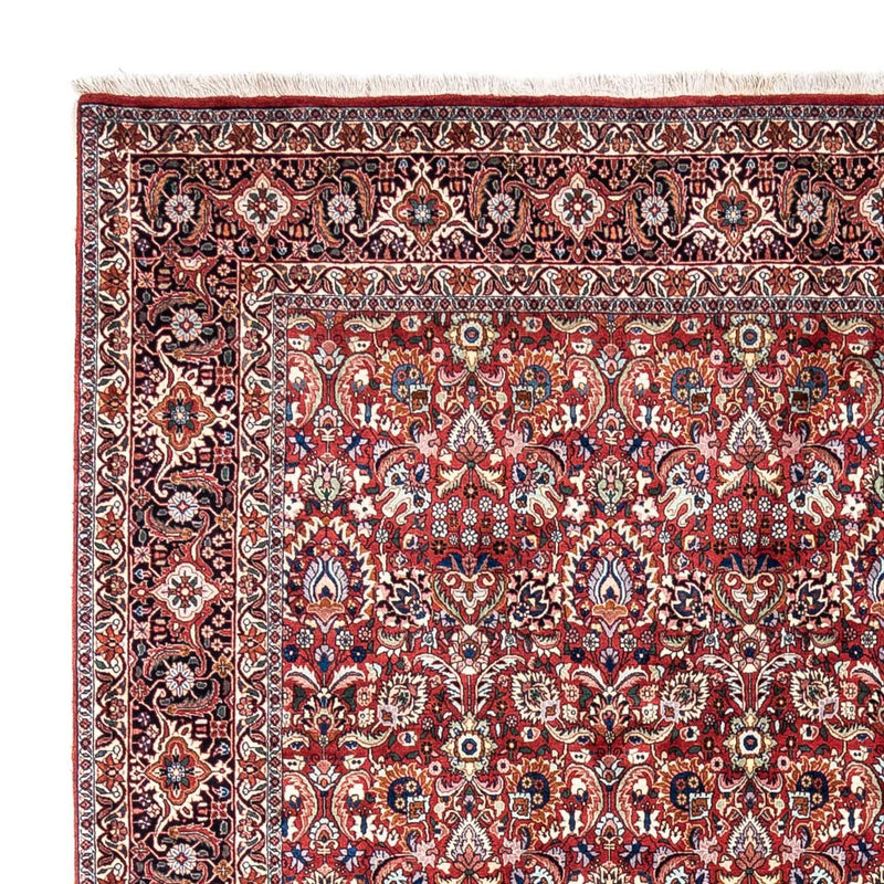 Perserteppich - Bidjar - Royal 255 x 343 cm - rot