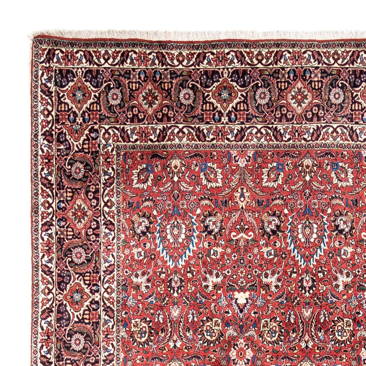 Bidjar - Takab Teppich 250x346cm - Perserteppich - rot