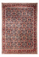 Perserteppich - Bidjar - Royal 253 x 357 cm - rost