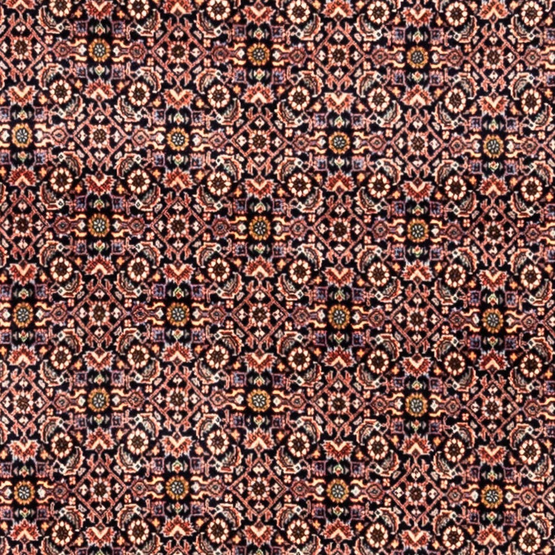 Perserteppich - Bidjar - Royal 259 x 341 cm - rost