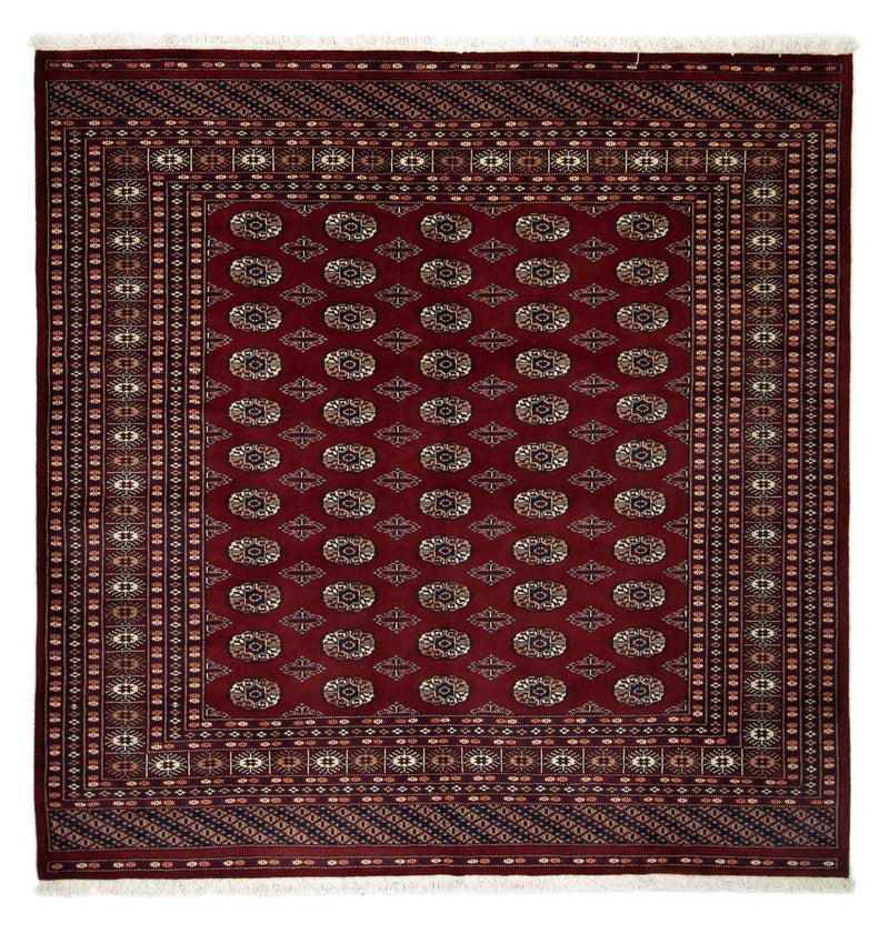 Afghan Teppich - Buchara 204 x 207 cm - rot