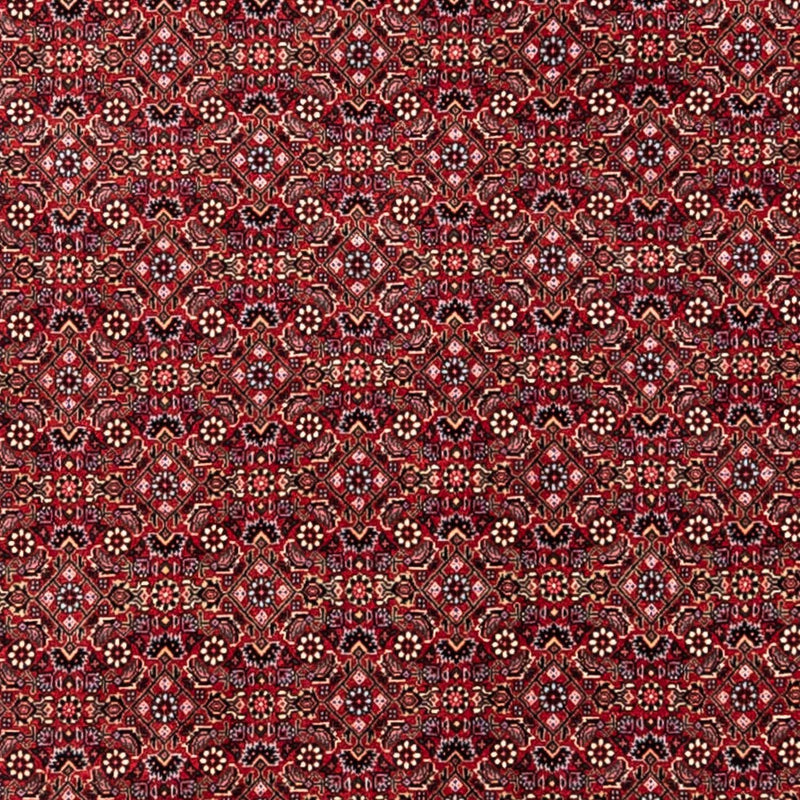 Bidjar - Takab Teppich 252x338cm - Perserteppich - rot