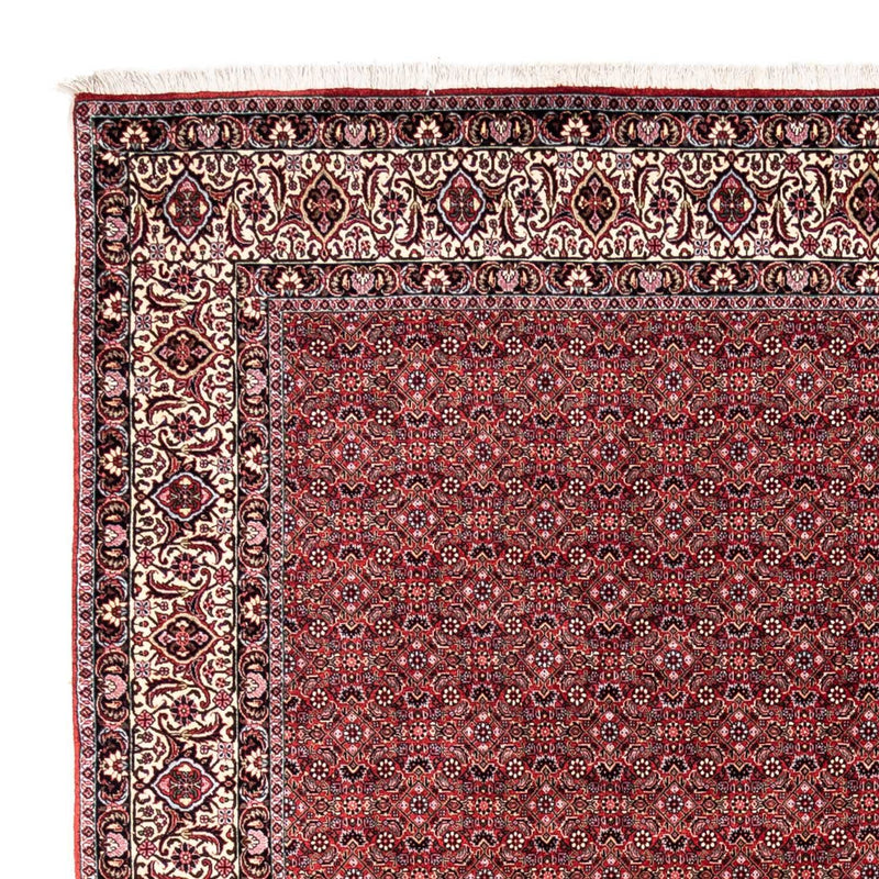 Bidjar - Takab Teppich 252x338cm - Perserteppich - rot