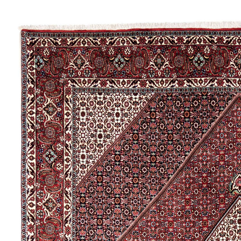 Perserteppich - Bidjar - Royal 249 x 338 cm - rot