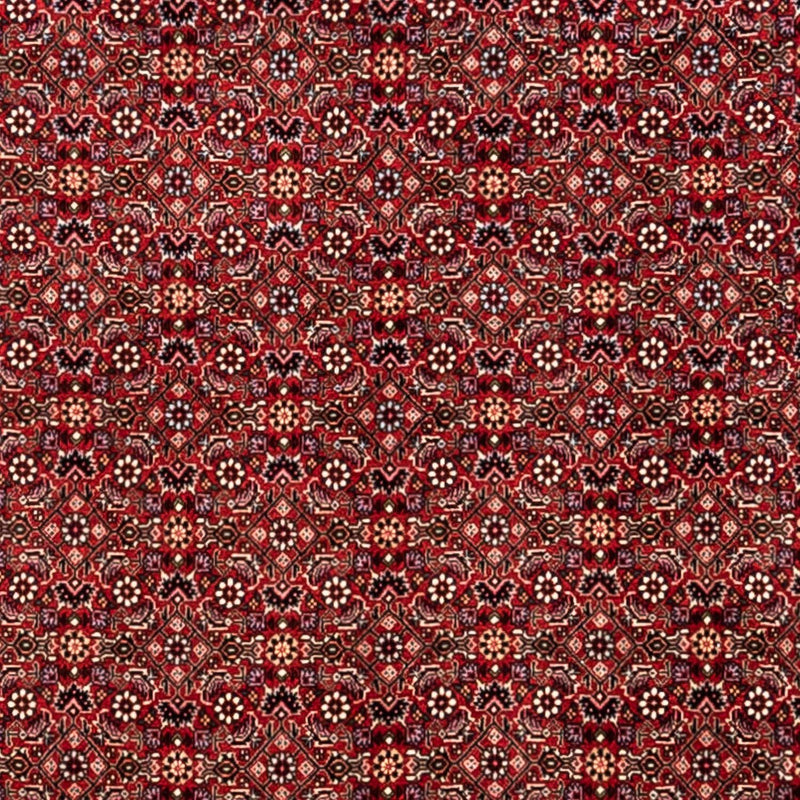 Perserteppich - Bidjar - Royal 248 x 340 cm - rot