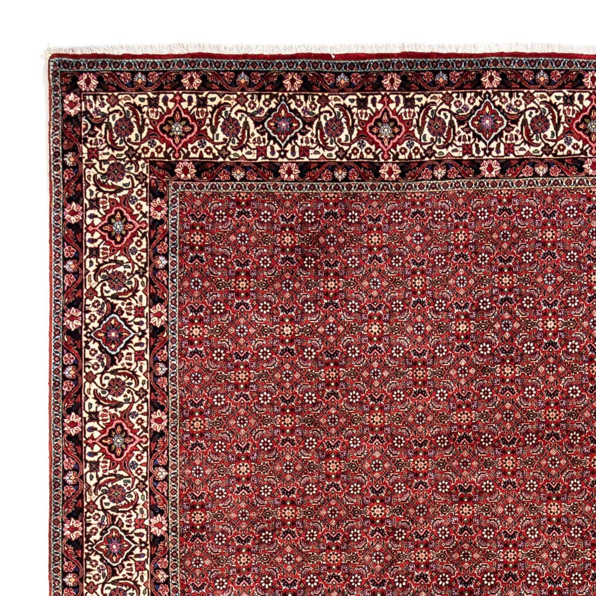 Perserteppich - Bidjar - Royal 248 x 340 cm - rot
