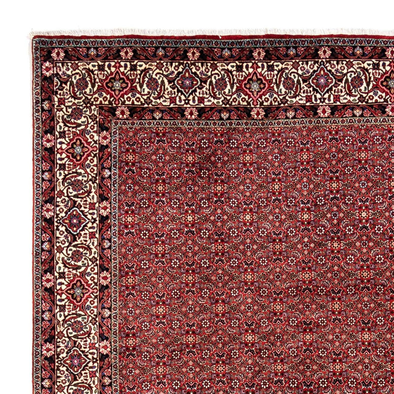 Perserteppich - Bidjar - Royal 248 x 340 cm - rot
