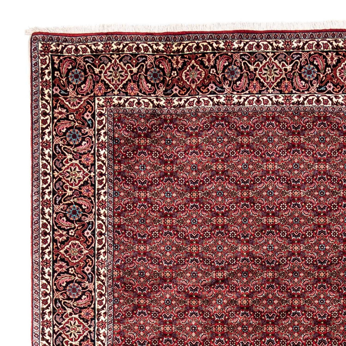 Perserteppich - Bidjar - Royal 252 x 337 cm - rot