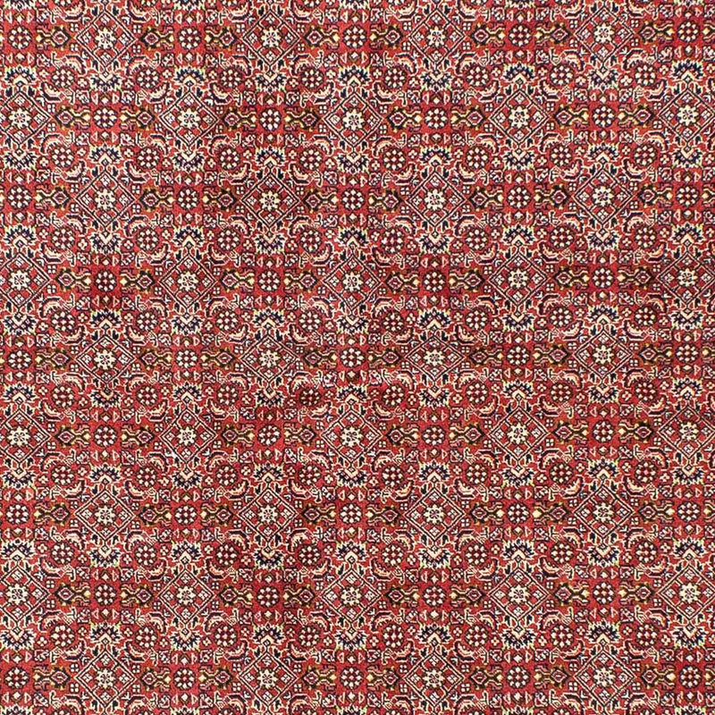 Bidjar Teppich 170x245cm - Perserteppich
