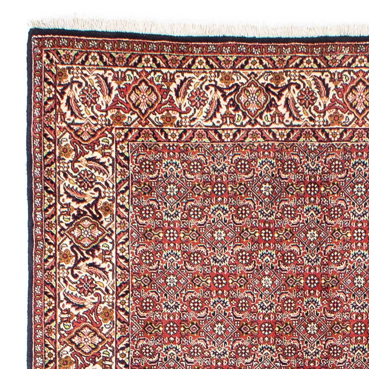 Bidjar Teppich 170x245cm - Perserteppich
