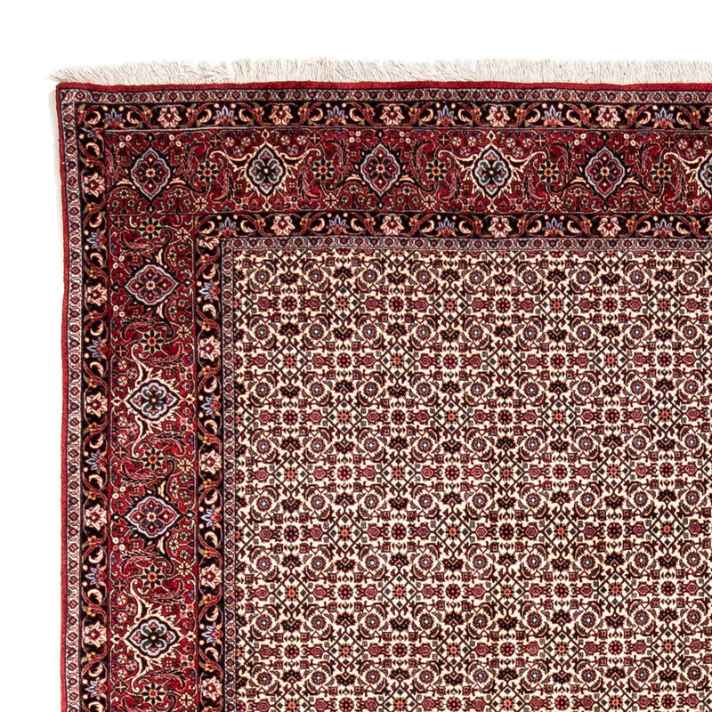 Bidjar - Takab Teppich 253x343cm - Perserteppich - beige