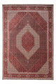 Bidjar - Takab Teppich 250x353cm - Perserteppich - rot