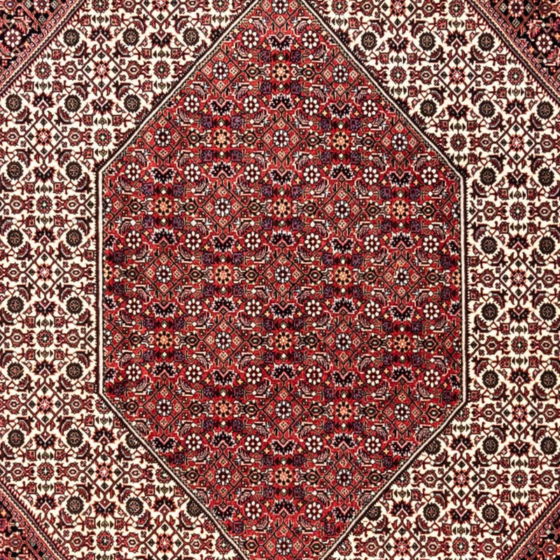 Bidjar - Takab Teppich 250x353cm - Perserteppich - rot