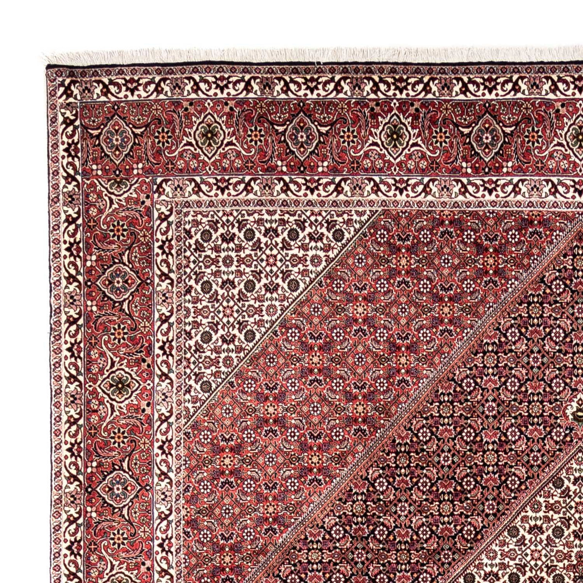 Bidjar - Takab Teppich 250x353cm - Perserteppich - rot