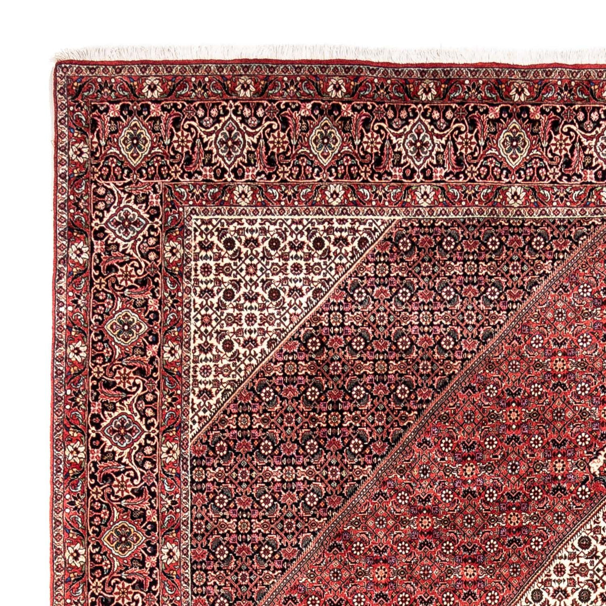 Perserteppich - Bidjar - Royal 252 x 350 cm - rot