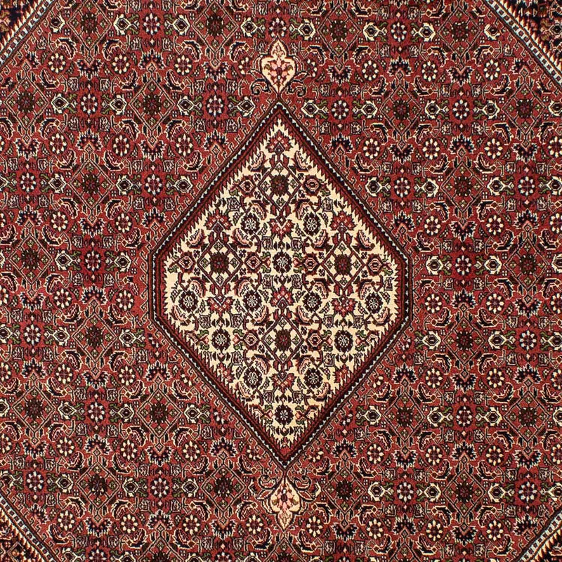 Bidjar Teppich 200x298cm - Perserteppich - braun
