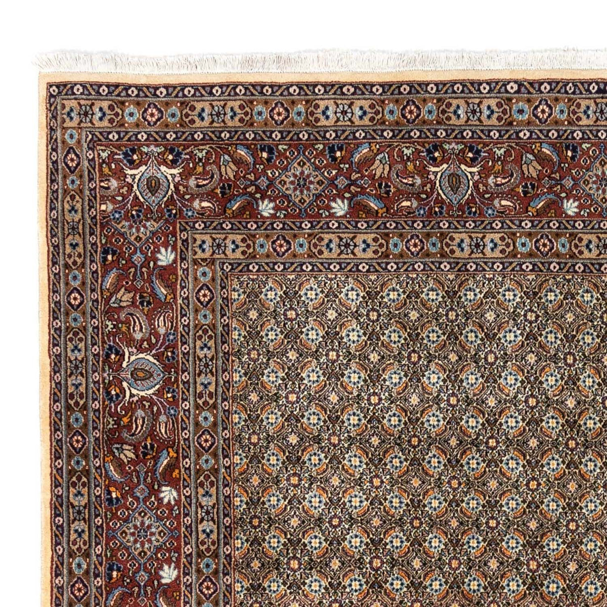 Perserteppich - Classic 243 x 288 cm - beige