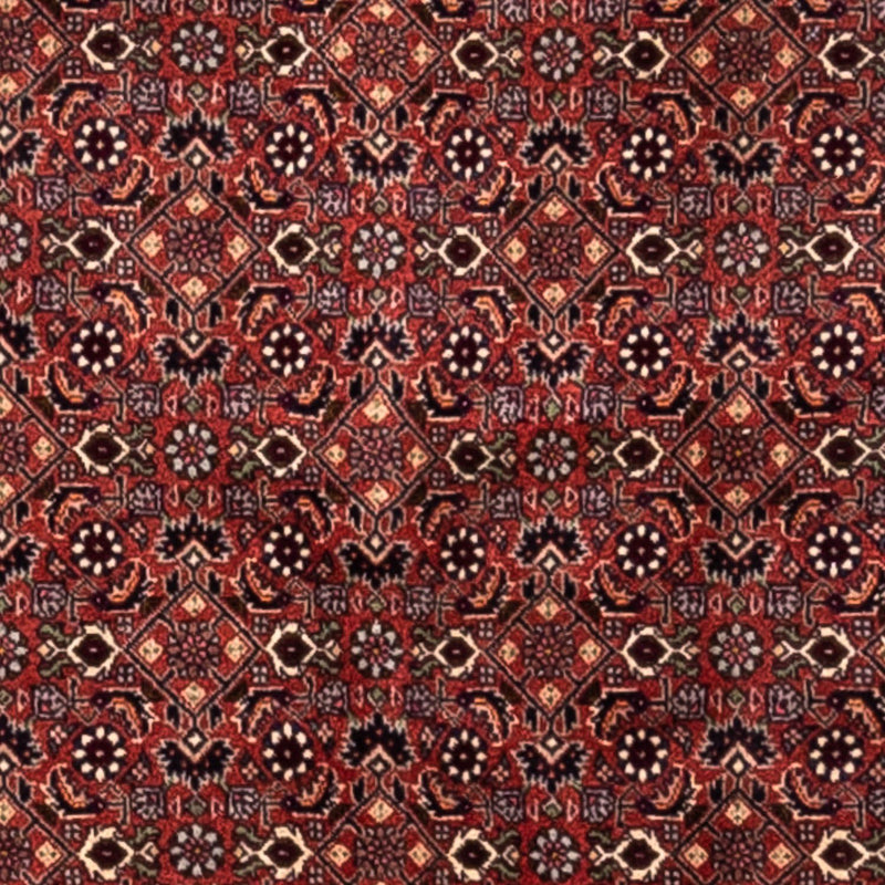 Perserteppich - Bidjar - Royal 200 x 293 cm - rot