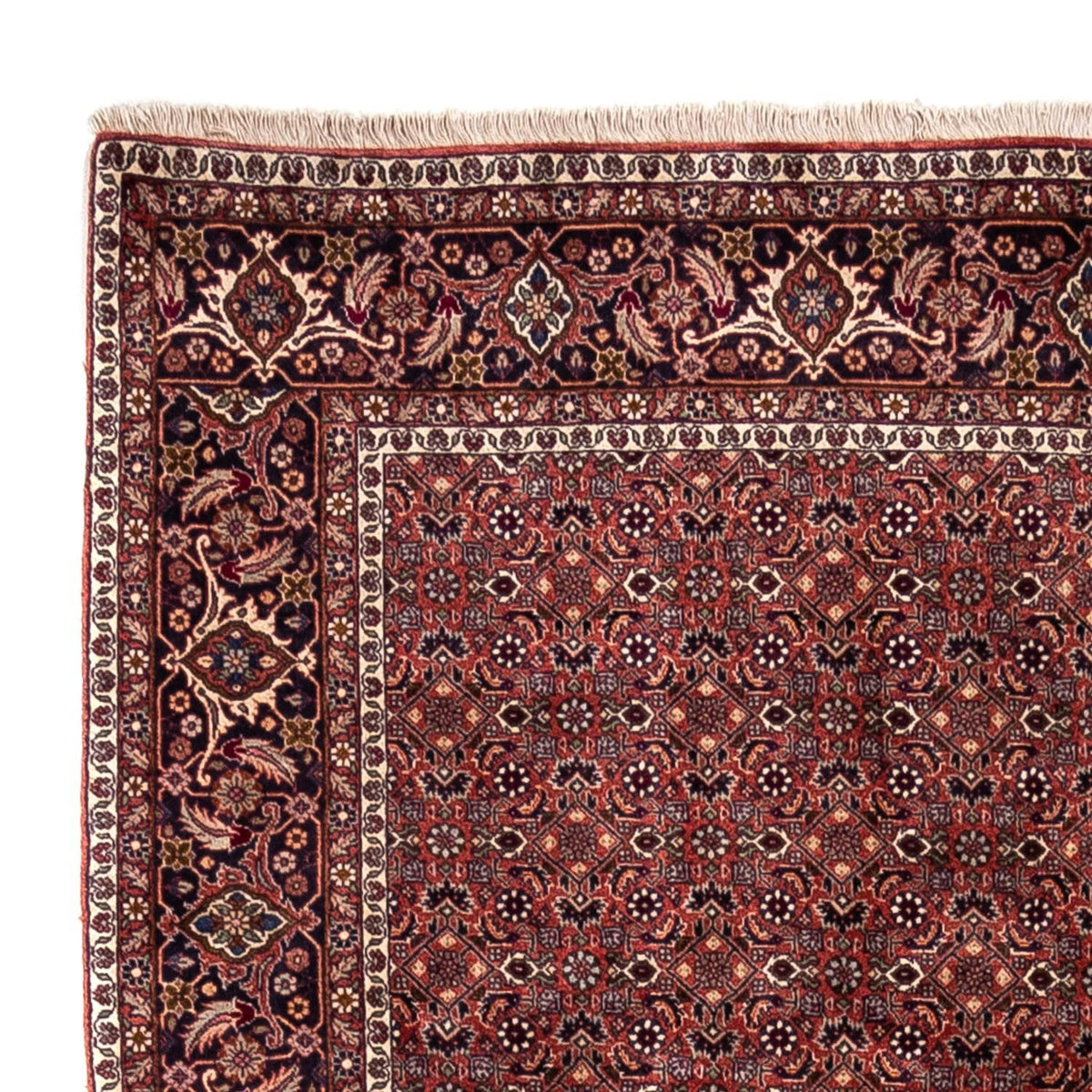 Perserteppich - Bidjar - Royal 200 x 293 cm - rot