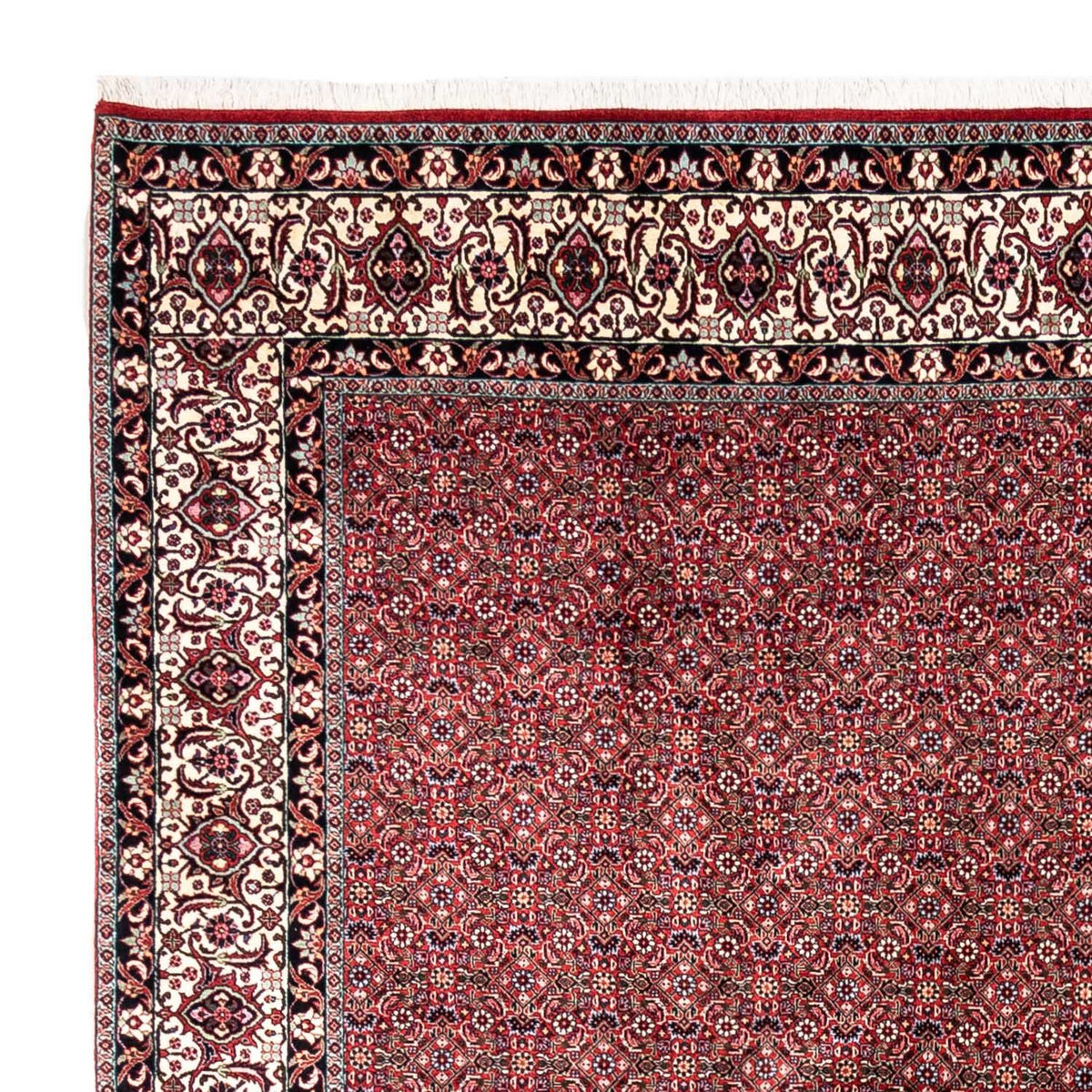 Bidjar - Takab Teppich 255x335cm - Perserteppich - rot