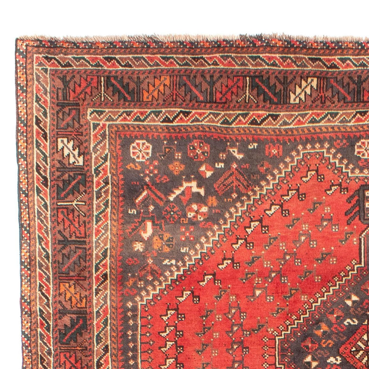 Shiraz Teppich 203x279cm - Perserteppich - rot