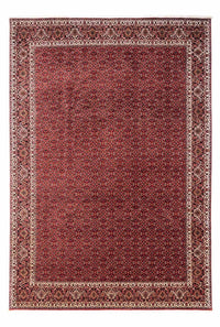 Perserteppich - Bidjar - Royal 253 x 345 cm - rot – product image