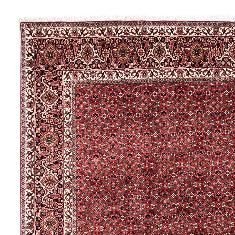 Perserteppich - Bidjar - Royal 253 x 345 cm - rot