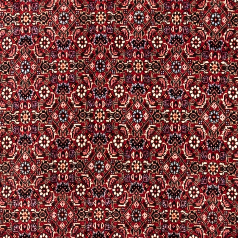 Bidjar - Takab Teppich 251x343cm - Perserteppich - rot